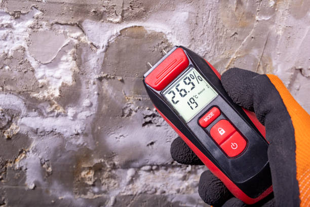 Best Water Damage Restoration  in Pine Knoll Shores, NC