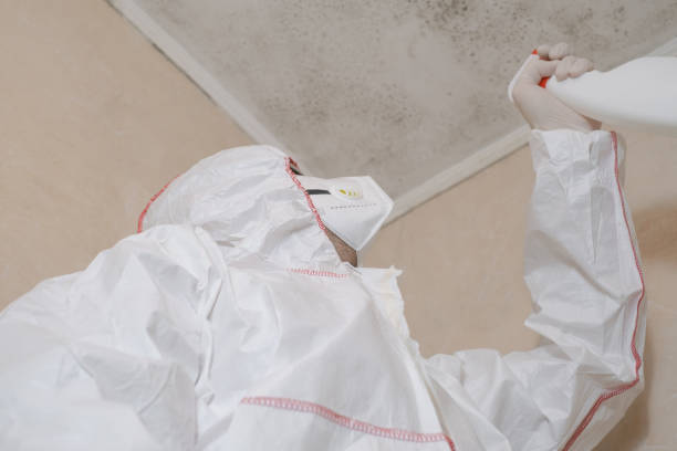 Best Crawl Space Mold Removal  in Pine Knoll Shores, NC